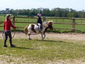 cours d'équitation enfant à poney shetland