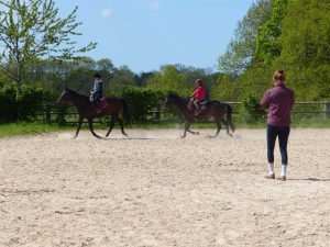 Cours d'équitation collectif