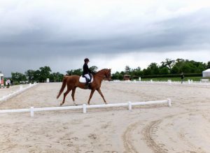 Ecurie les Grainvilleries : sortie concours à l'extérieur Cours d'équitation