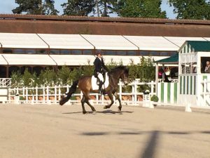 Ecurie les Grainvilleries : concours au Haras de Jardy Cours d'équitation