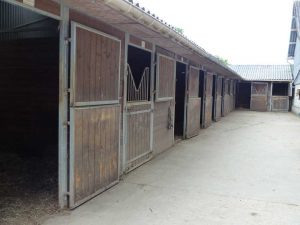 Ecurie Grainvilleries : pension pour chevaux au boxe écurie extérieure