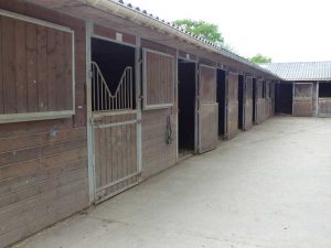 Ecurie Grainvilleries : pension pour chevaux au boxe écurie extérieure