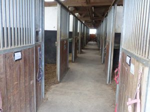 Ecurie Grainvilleries : pension pour chevaux au boxe écurie intérieure