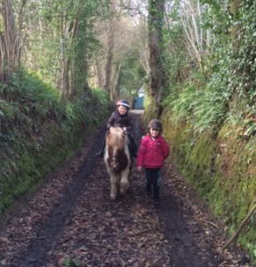 Promenade enfants poney shetland normandie