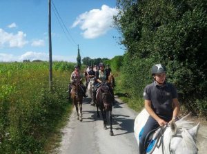 Ecurie les Grainvilleries : randonnée à cheval dans la campagne en Normandie