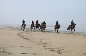 Ecurie les Grainvilleries : randonnées à cheval sur la plage en Normandie